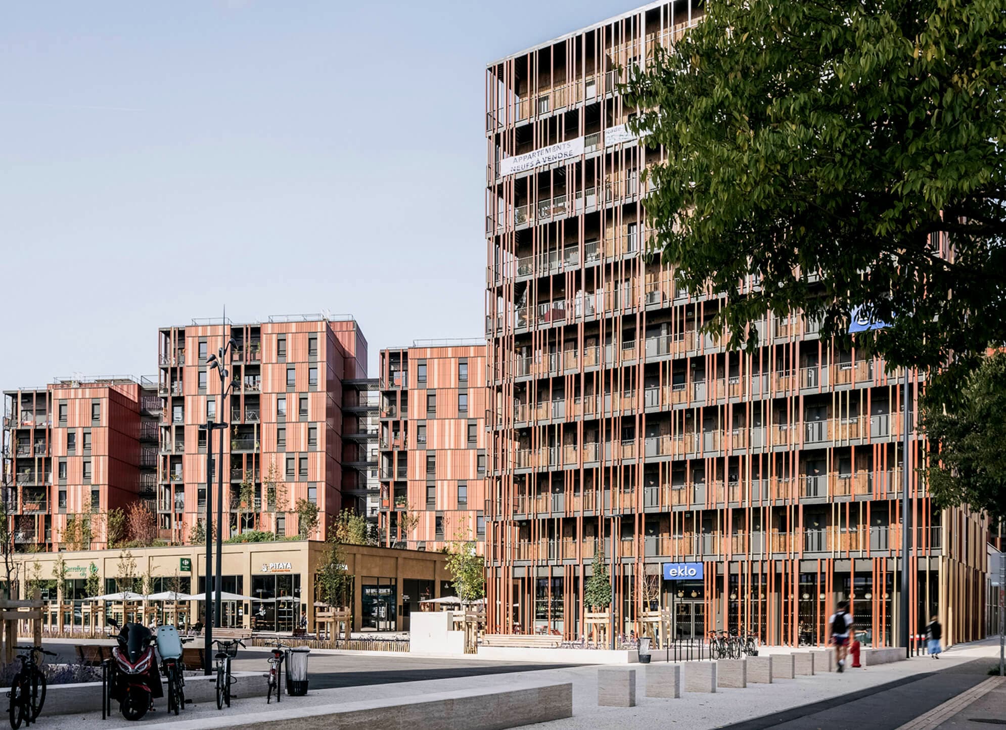 WOOD’ART – LA CANOPEE